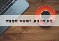 软件开发公司哪家好（软件 开发 公司）